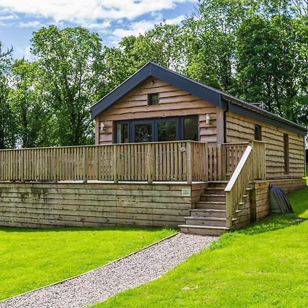 Squirrel Lodge 42 With Hot Tub Newton Stewart Exterior photo